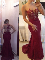 Sheath/Column Scoop Sweep/Brush Train Lace Prom Formal Evening Dress with Applique