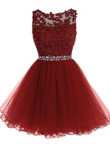 A-Line/Princess Scoop Tulle Sleeveless Short/Mini Prom Evening Dress with Beading Lace