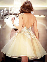 A-Line/Princess Scoop Organza Sleeveless Knee Length Dress with Applique