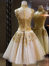 A-Line/Princess High Neck Tulle Sleeveless Short/Mini Prom Dress with Applique