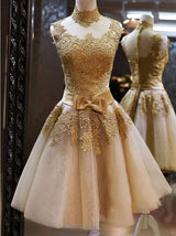 A-Line/Princess High Neck Tulle Sleeveless Short/Mini Prom Dress with Applique