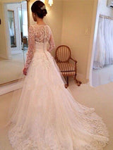Ball Gown V-neck Court Train Sleeveless Tulle Wedding Dress with Lace